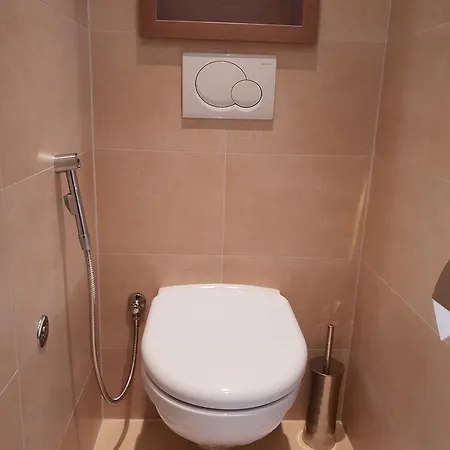 公寓 Lake View 2 Bedroom 蒙特勒